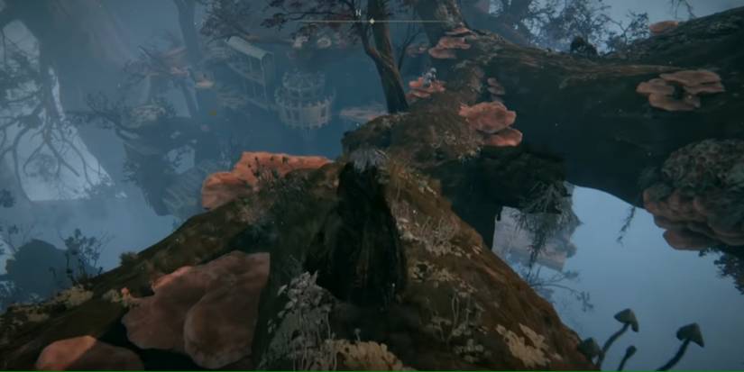 Miquellas Haligtree location