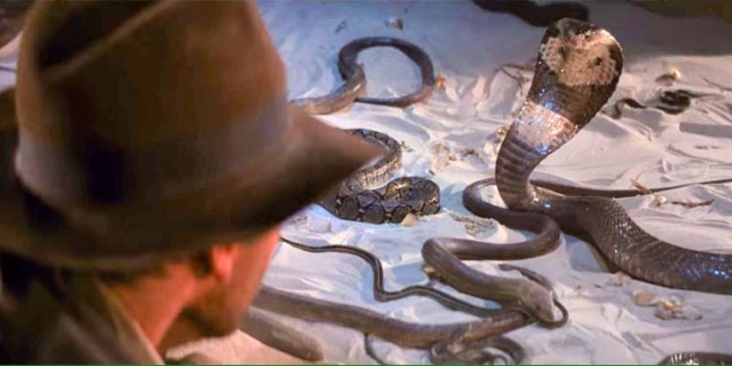 indiana jones looking at a rattlesnake