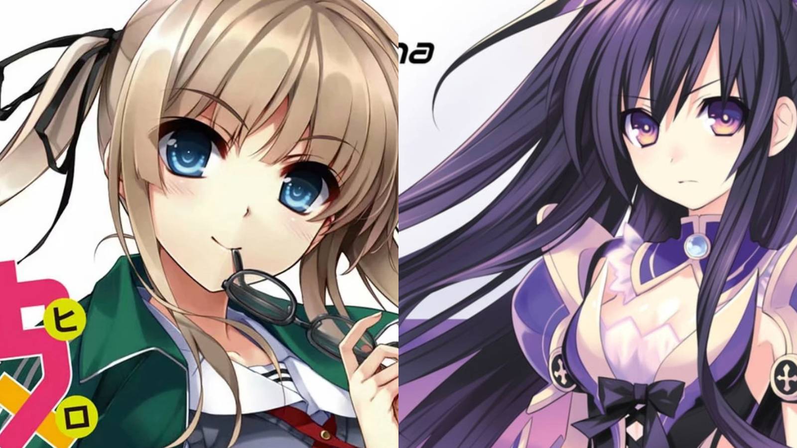 Completed Harem Light Novels Feature Image