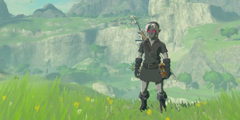 Dark Link on the field