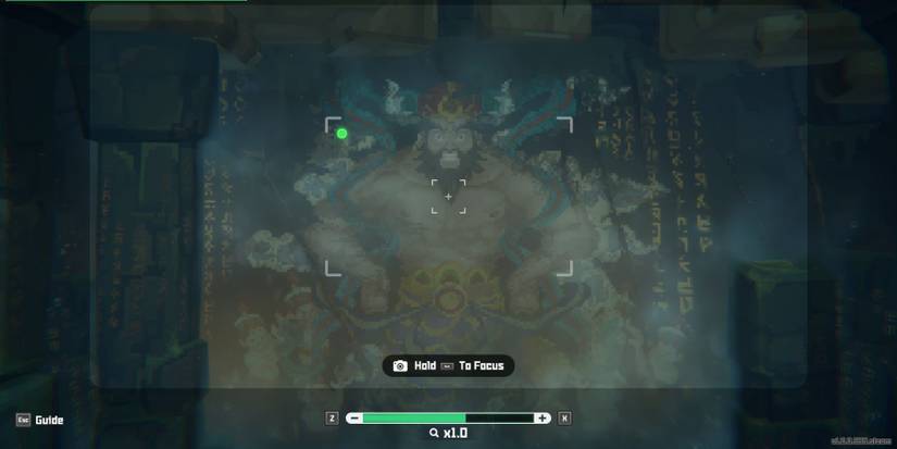 Dave the Diver How to Use the Camera (4)