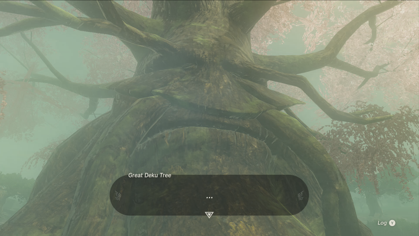 zelda tears of the kingdom deku tree memory 01