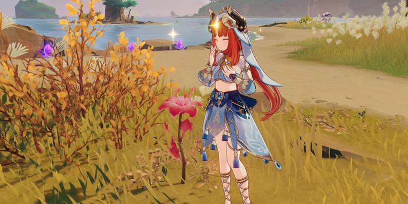 dendrobium in genshin impact