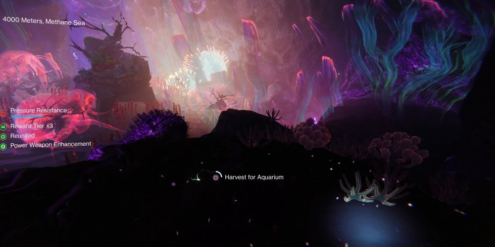 Destiny 2 All Deep Dive Plant And Flora Locations