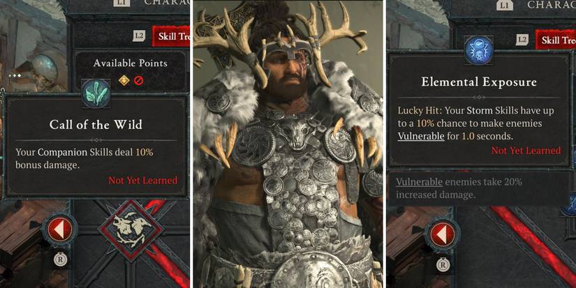 A grid showing a Druid in the middle with two passive skills either side of him in Diablo 4