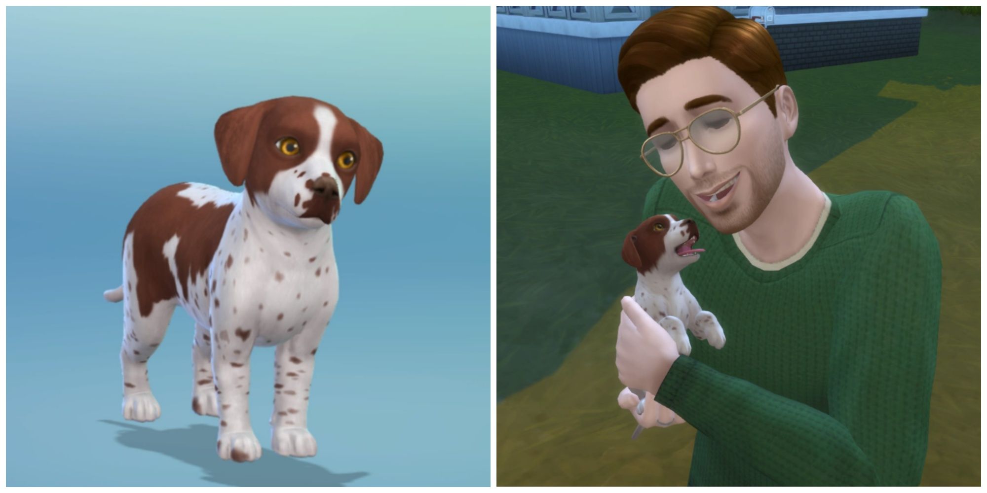 Adopting a pet in The Sims 4