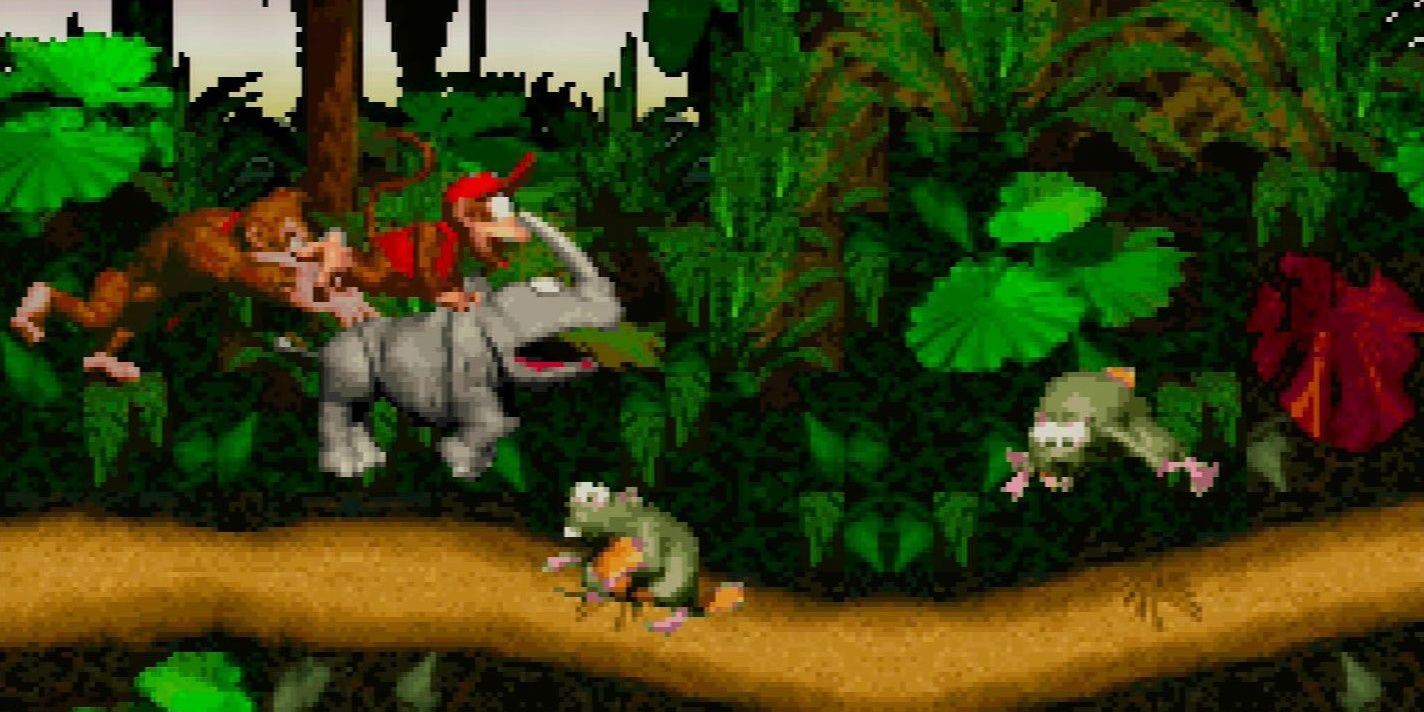 Donkey and Diddy Kong in Donkey Kong Country
