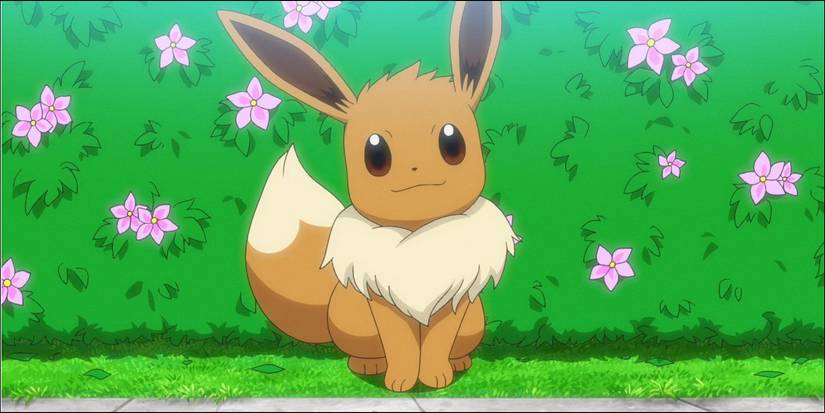 Eevee in a flower garden