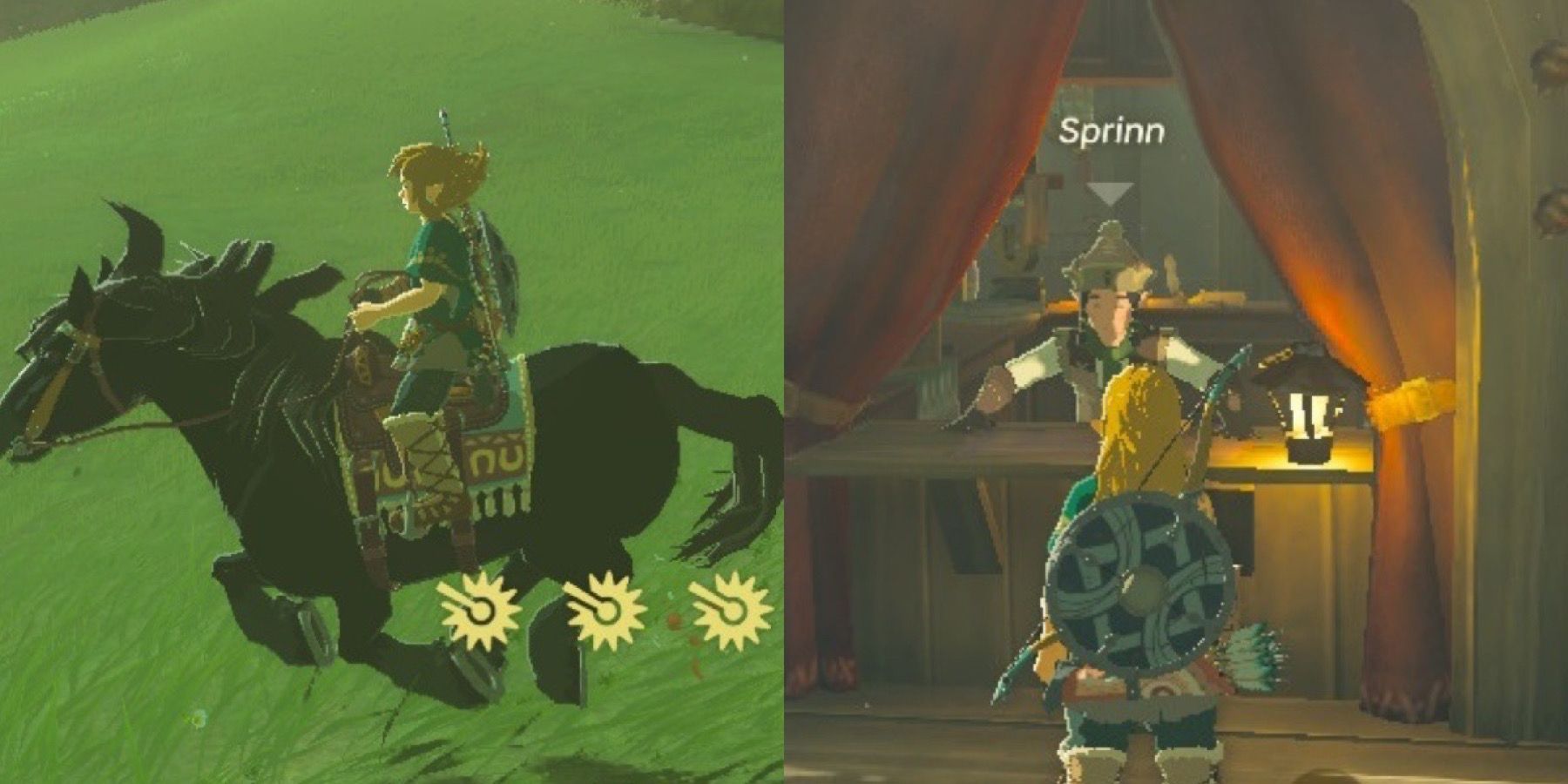 Zelda: Tears Of The Kingdom - How To Release Horses