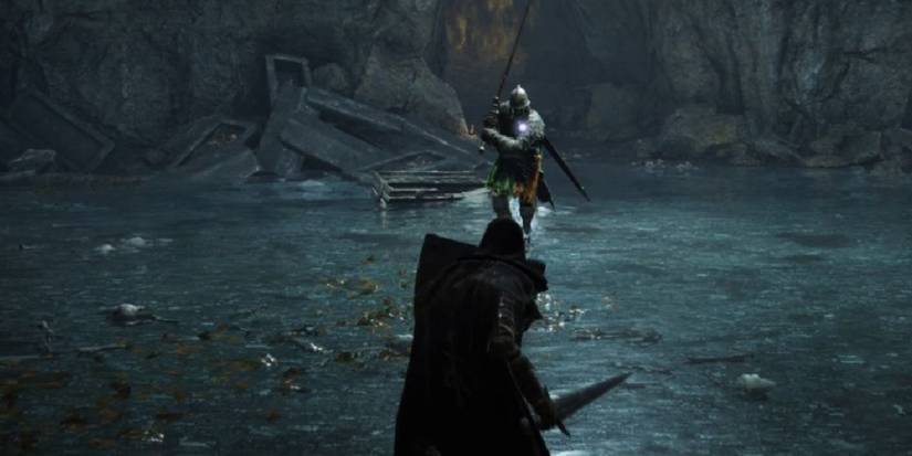 elden ring player beats game as soldier of godrick