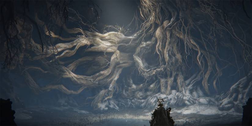 Elden Ring - Tarnished Walking Into Malenia Arena