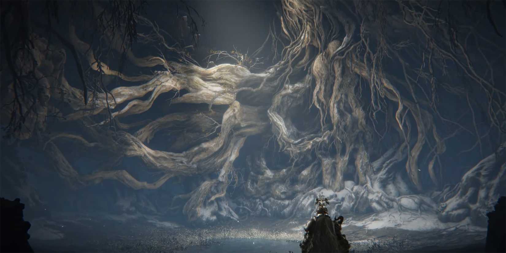 Elden Ring - Tarnished Walking Into Malenia Arena