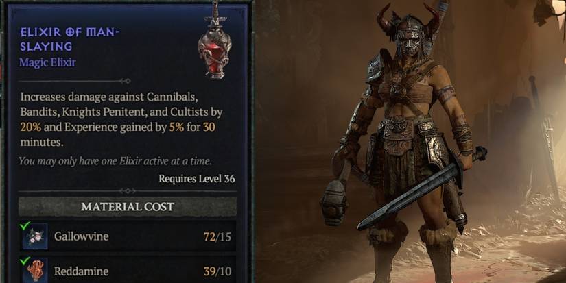 elixir of man slaying slaying diablo 4 split image