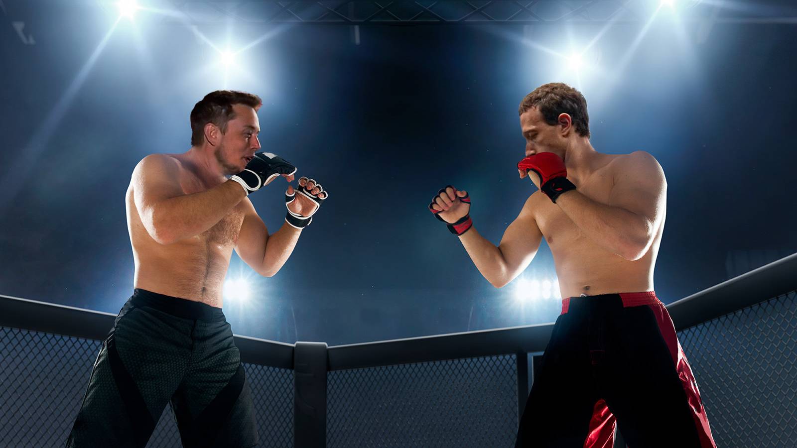 elon-musk-vs-zuckerberg-boxing-match