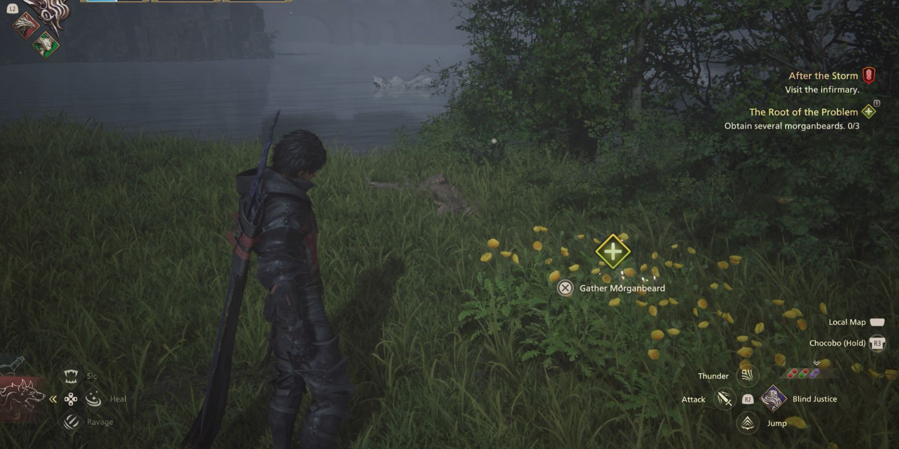 Clive finds Morganbeard flowers in Final Fantasy 16