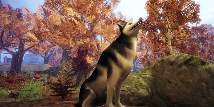 Fable 2 Dog companion