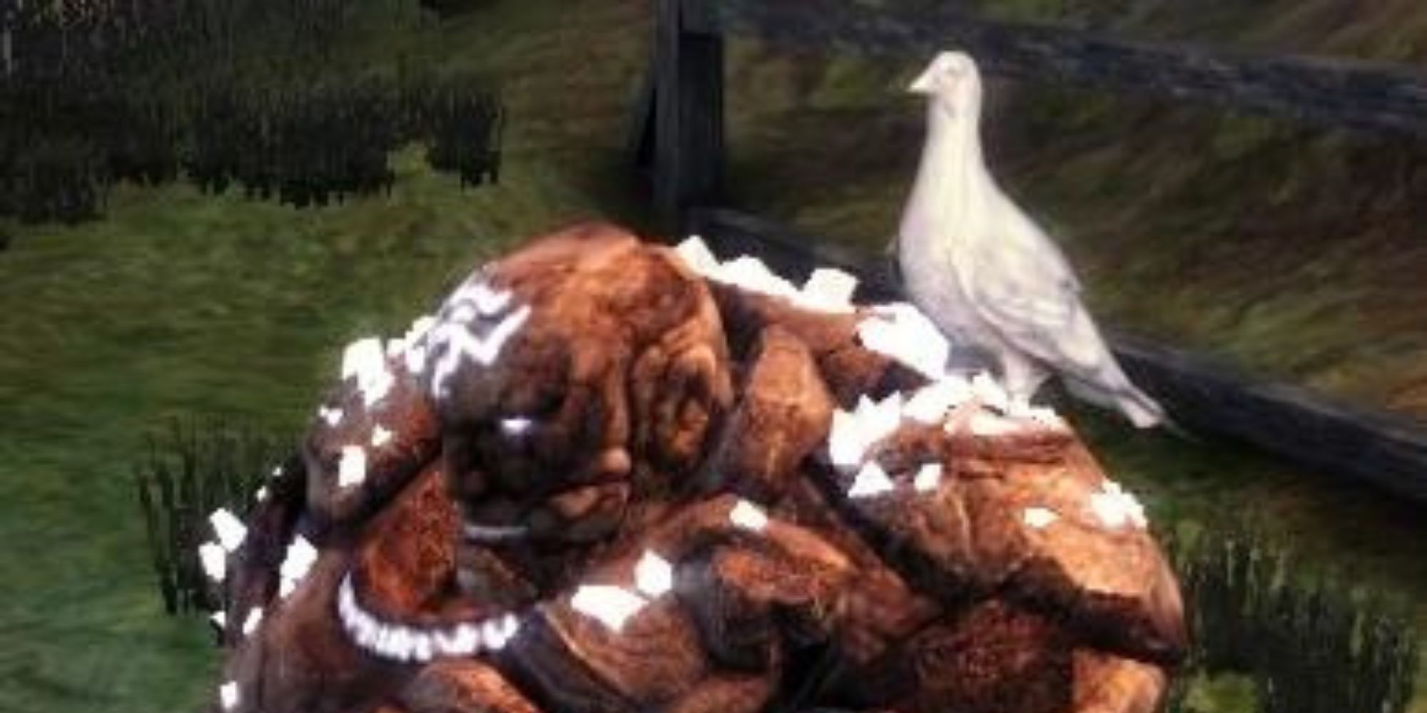 Shale with his Feastday Gift of an uncrushable pigeon in Dragon Age Origins