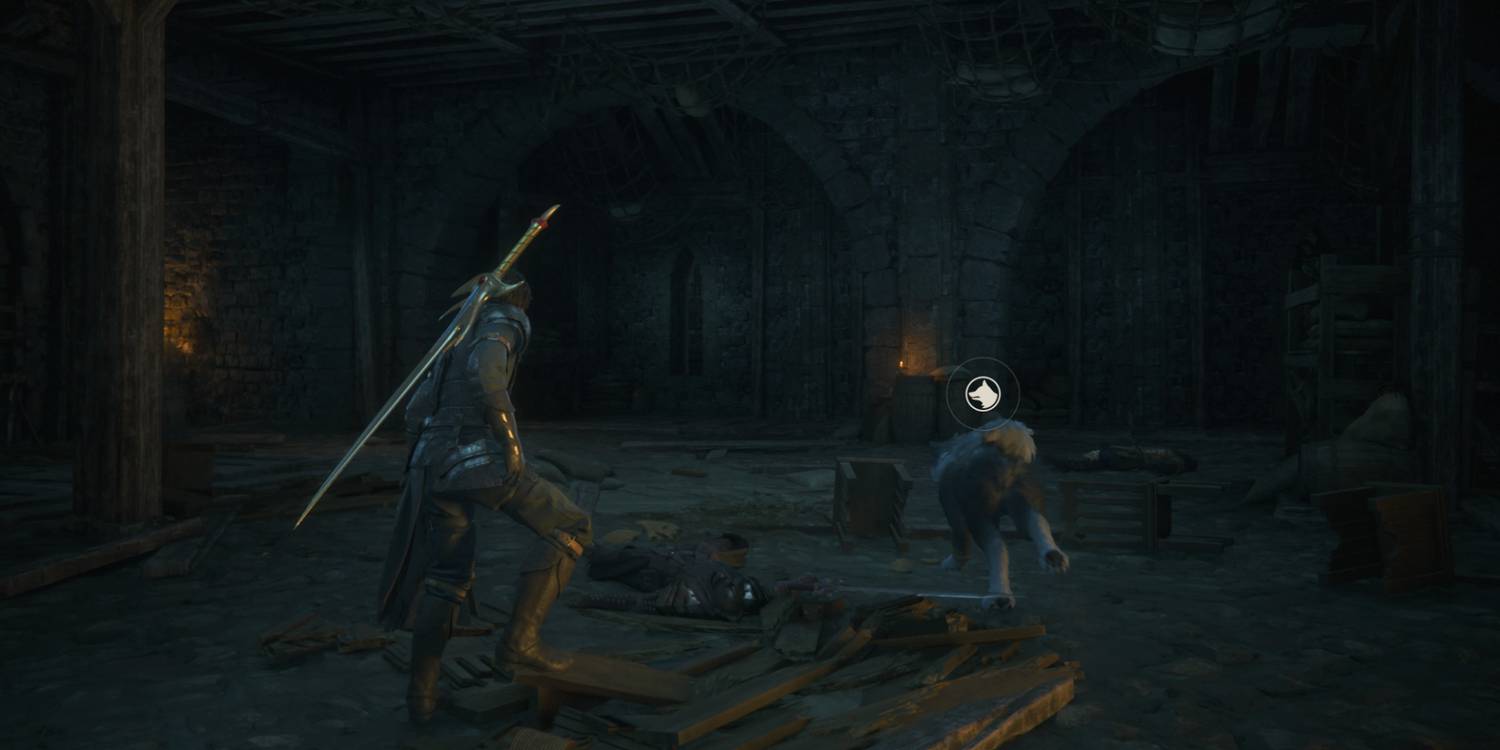 instito animal instito animal