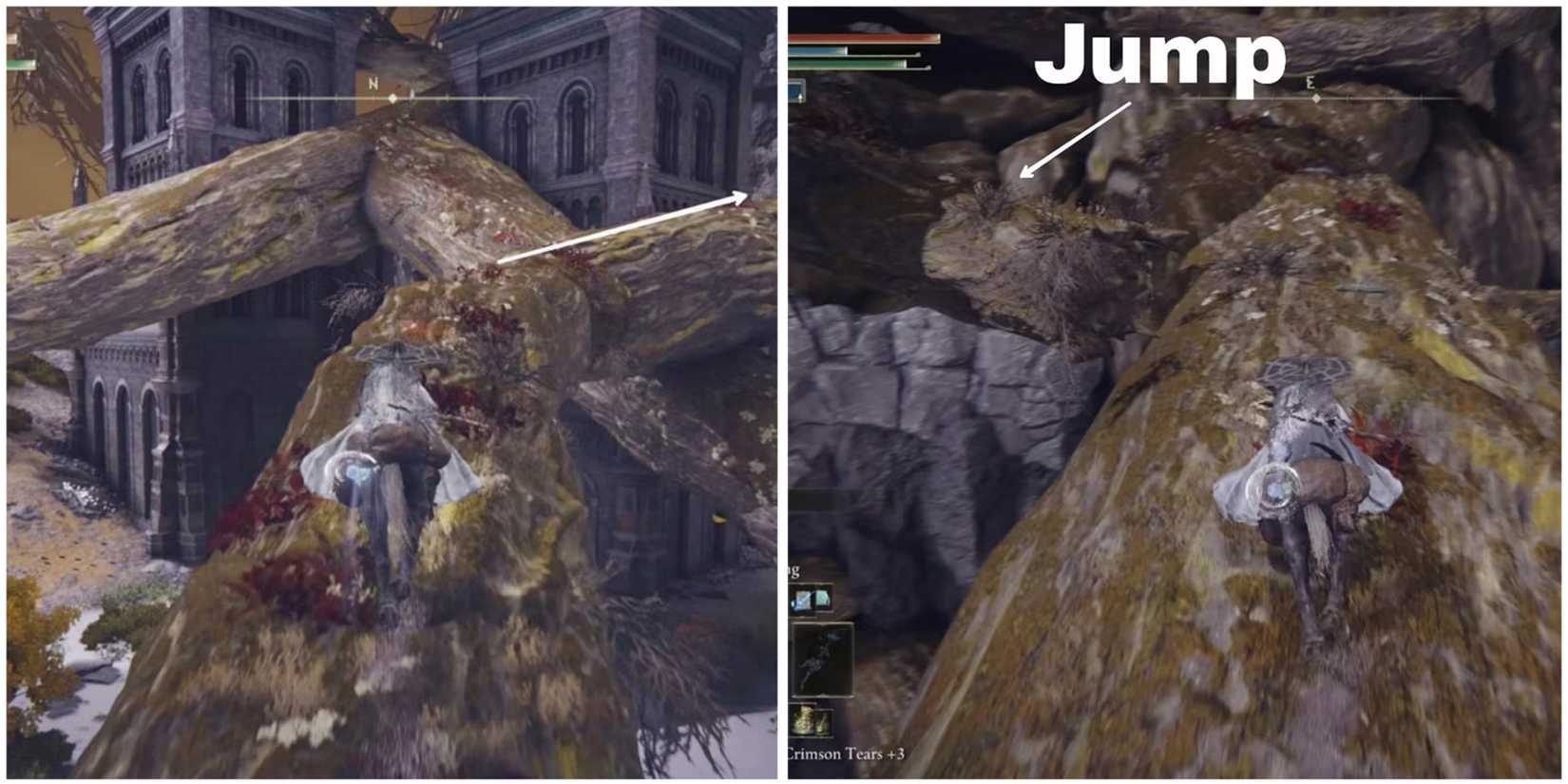 fia location in deeproot depths in elden ring