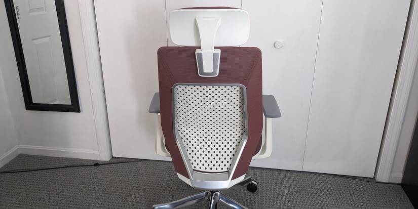 FlexiSpot Ergonomic Chair Pro Back