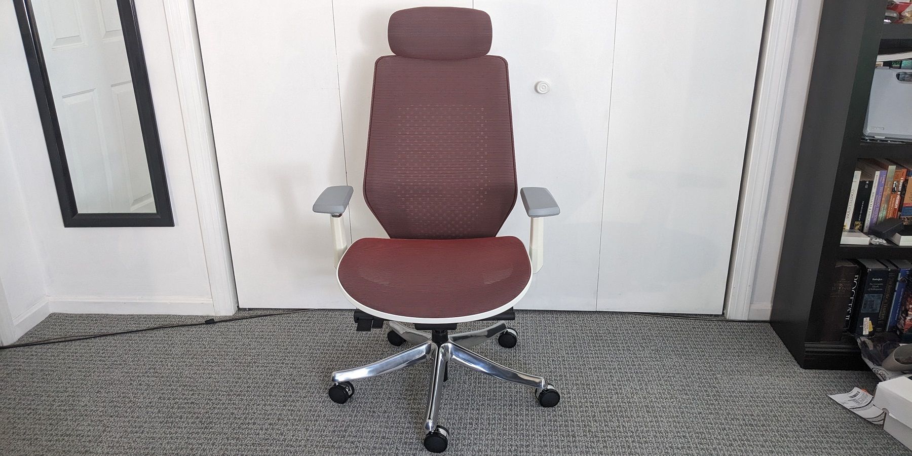 FlexiSpot Ergonomic Chair Pro Front