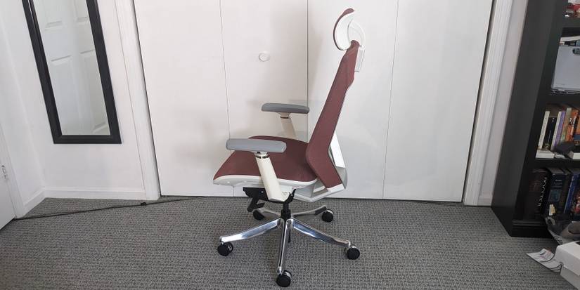 FlexiSpot Ergonomic Chair Pro Side