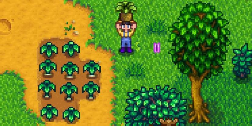 A farmer in overalls holding a horseradish beside a field of spring onions