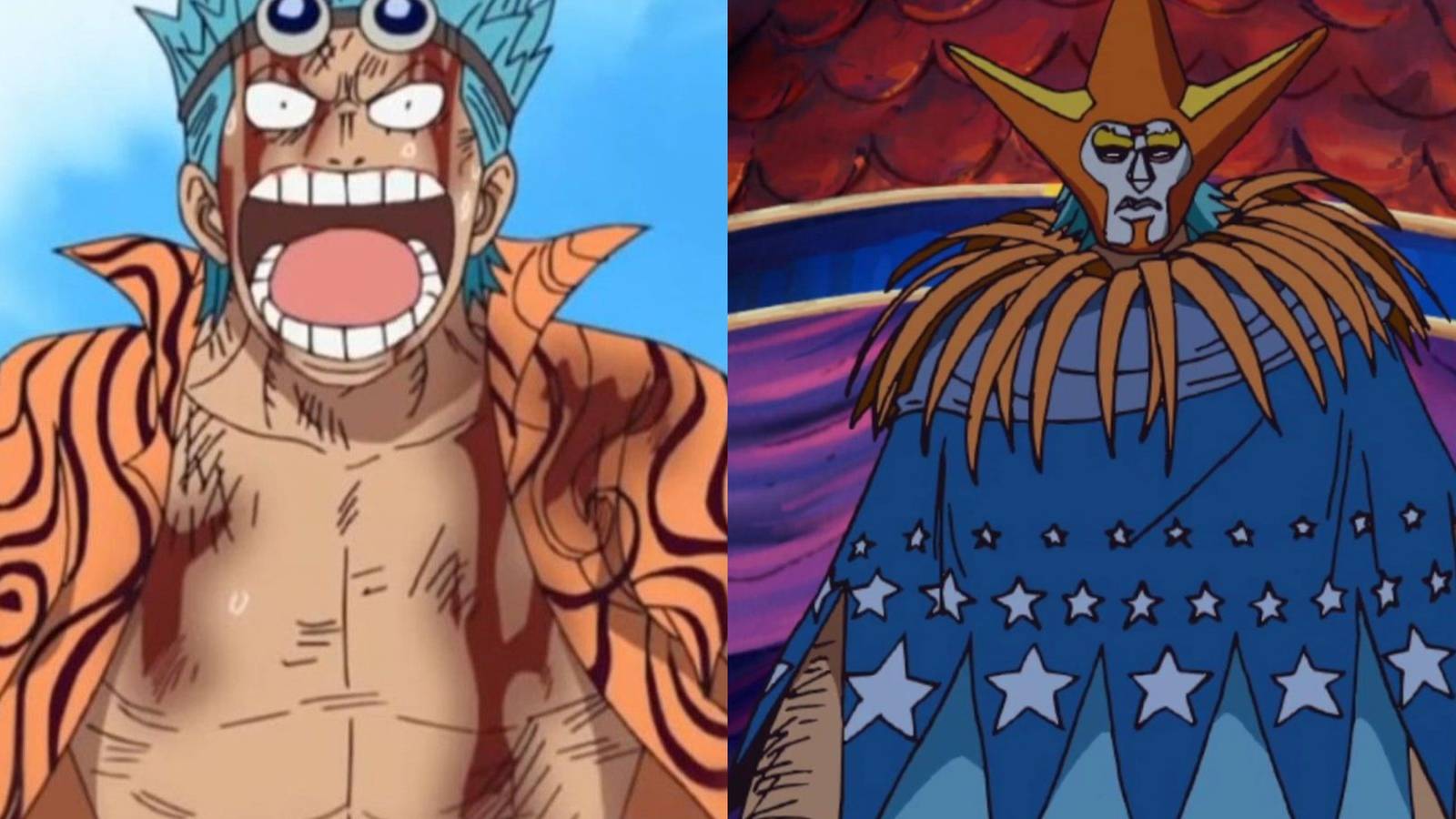 Franky's Past One Piece