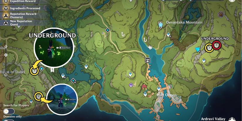 genshin impact whopperflowers other locations in sumeru