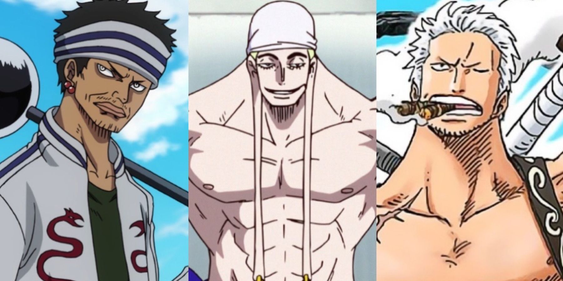 What happened to Gin in One Piece? Will the Strawhats see Gin or