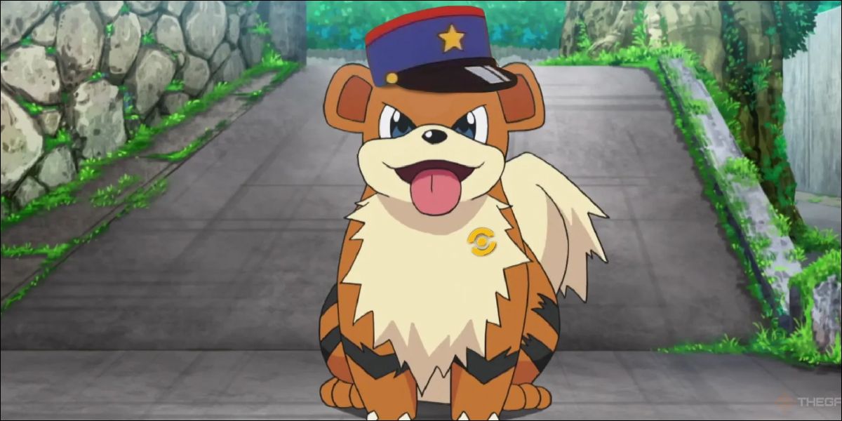 Growlithe wearing a police officer hat