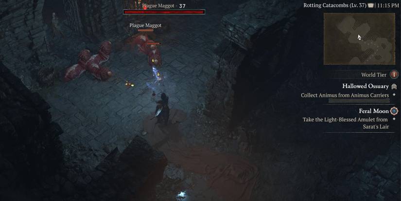 A player attacking maggots in the Hallowed Ossuary dungeon in Diablo 4