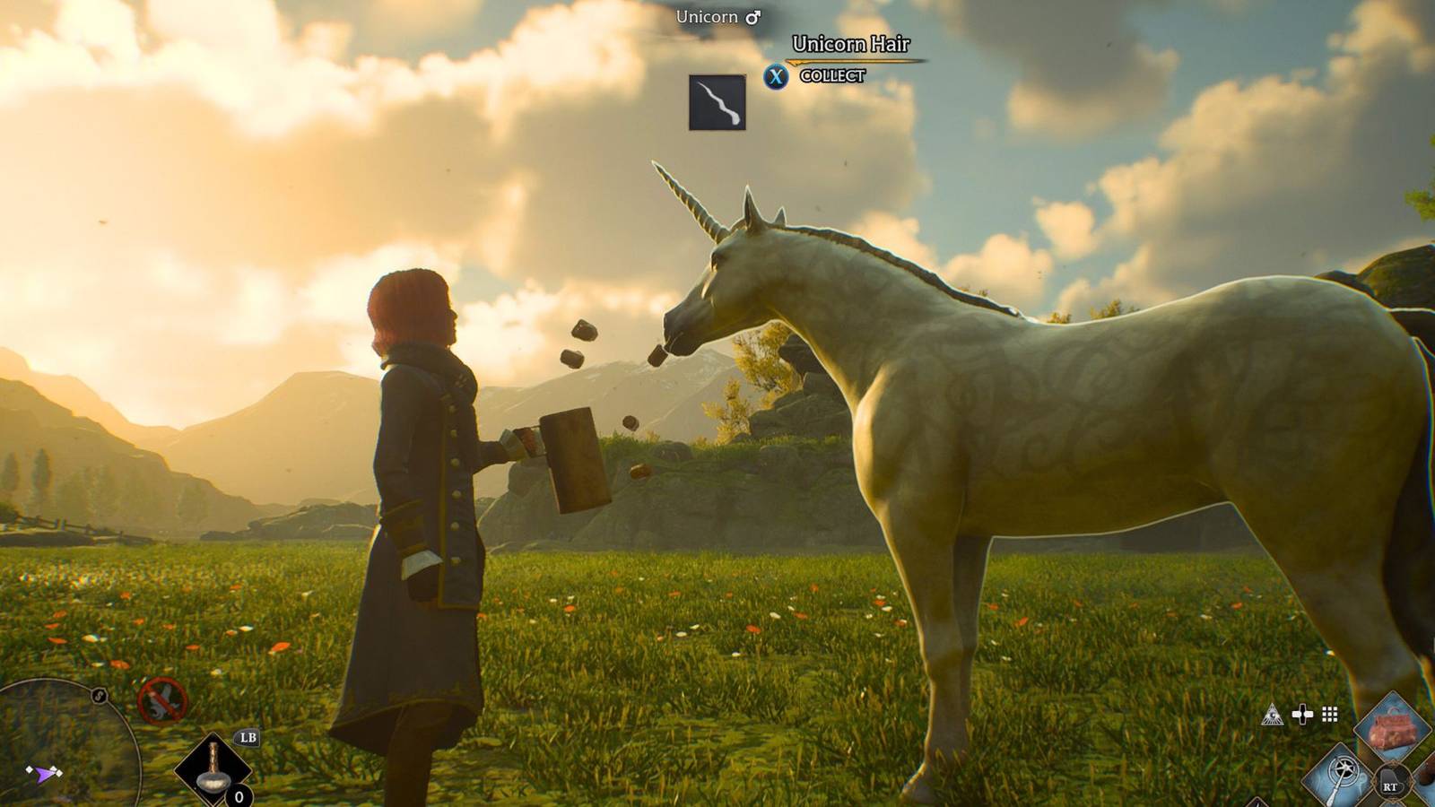 hogwarts legacy unicorn