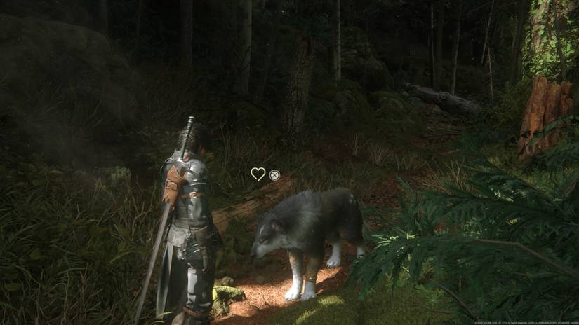 How to Pet Torgal in Final Fantasy 16