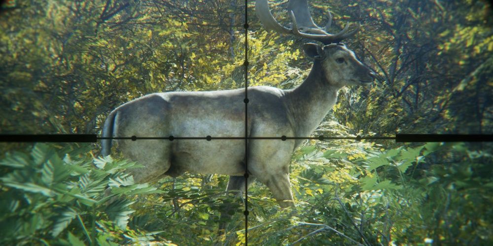 Player Aiming At A Deer While Hiding In Grass