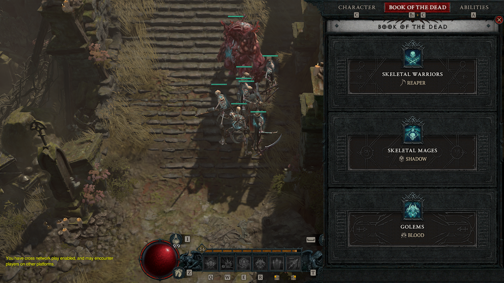 Diablo 4 Necromancer Unique Class Mechanic Book of the Dead Minions List Skirmisher Mage Golems