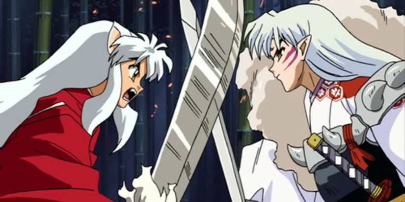 Inuyasha and Sesshomaru in Inuyasha