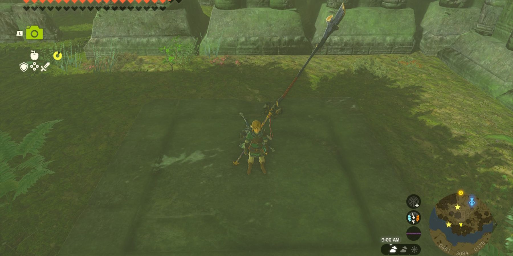 Zelda: Tears of the Kingdom - The Long Dragon Guide