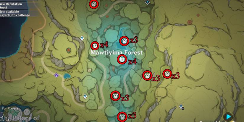 mawtiyima forest slime location in genshin impact