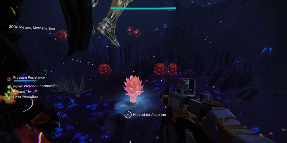 Destiny 2 All Deep Dive Plant And Flora Locations