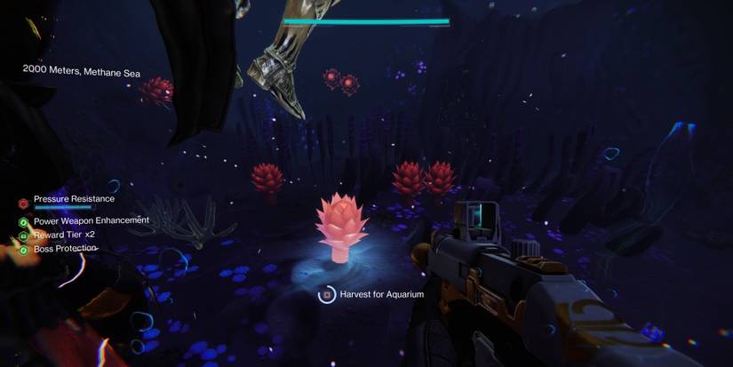 midnight flora location in Destiny 2