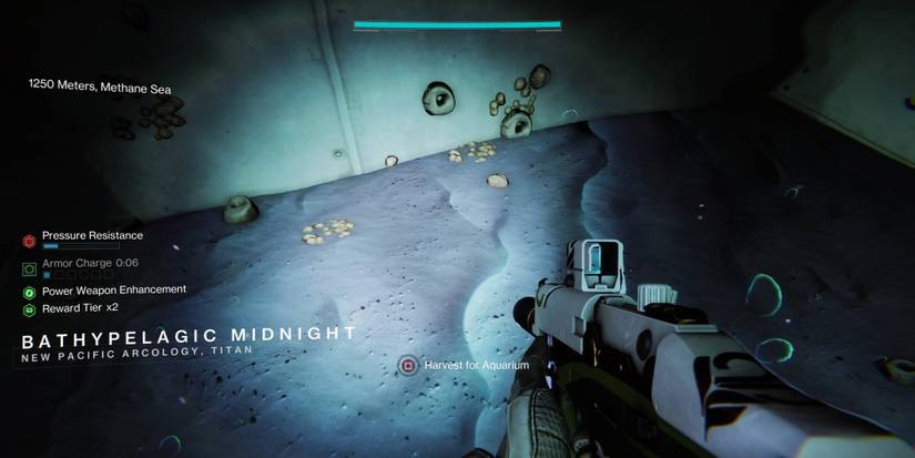 midnight plant location in Destiny 2