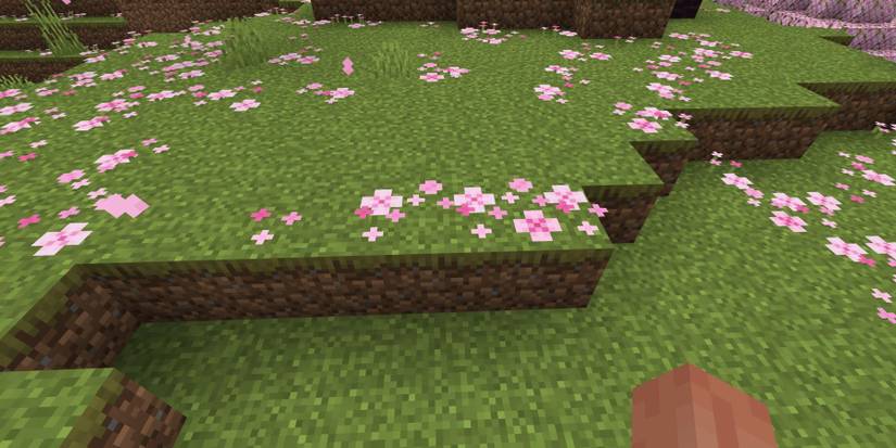 minecraft what are pink petals