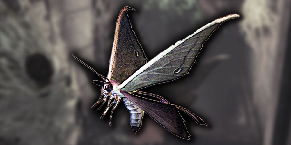 An Infected Moth from Resident Evil Code Veronica