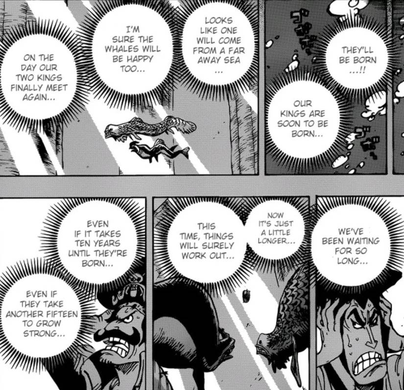 Oden Roger One Piece