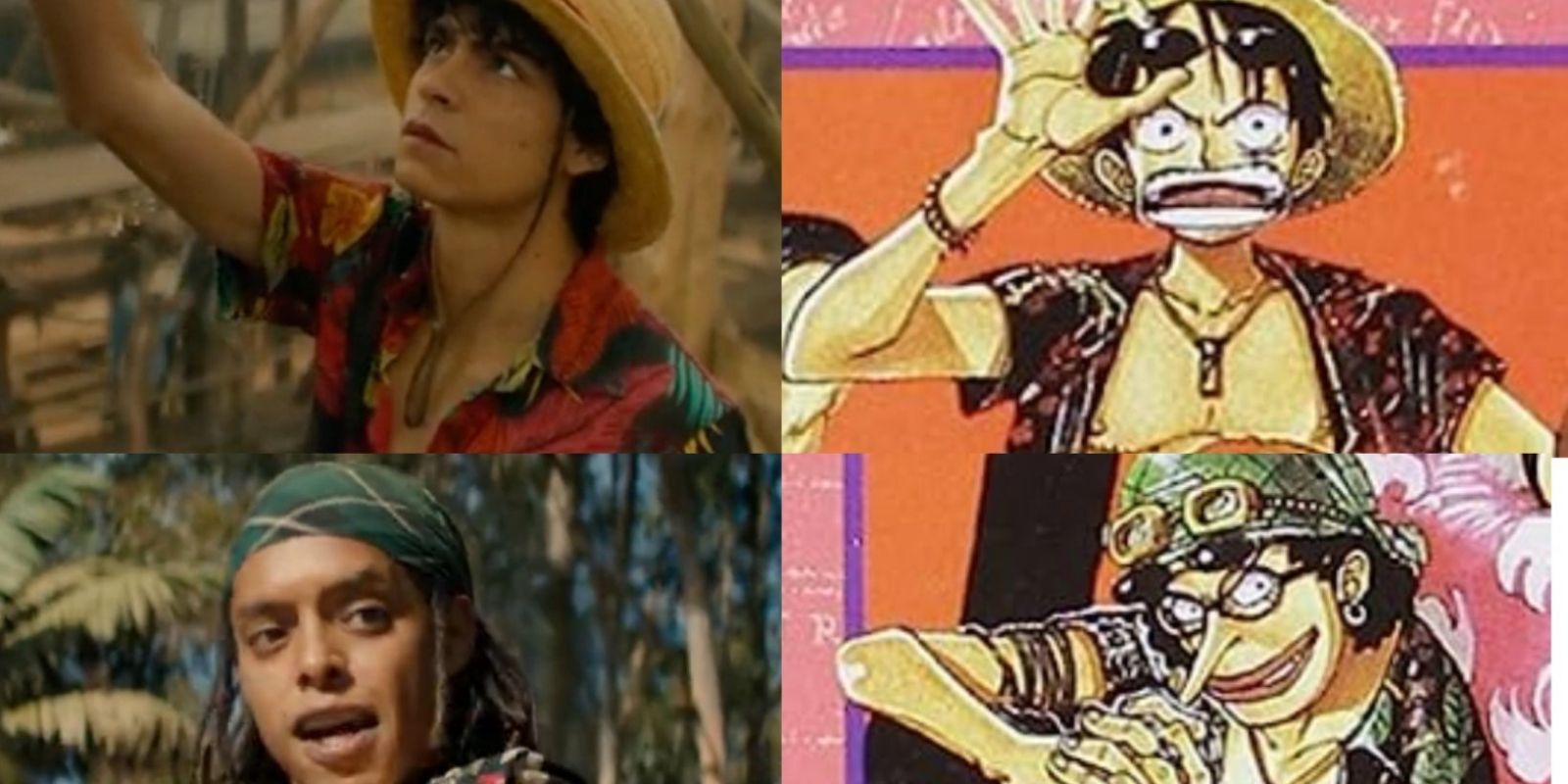 Netflix's One Piece Live-Action: Characters Comparison Guide