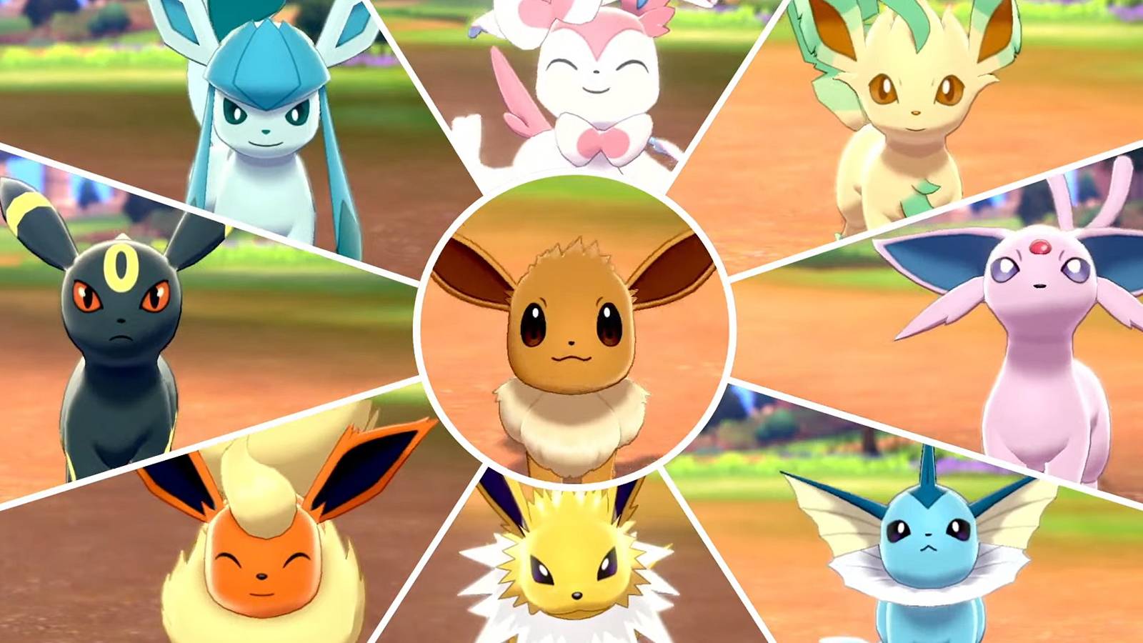 pokemon-eevee-evolution-card-display