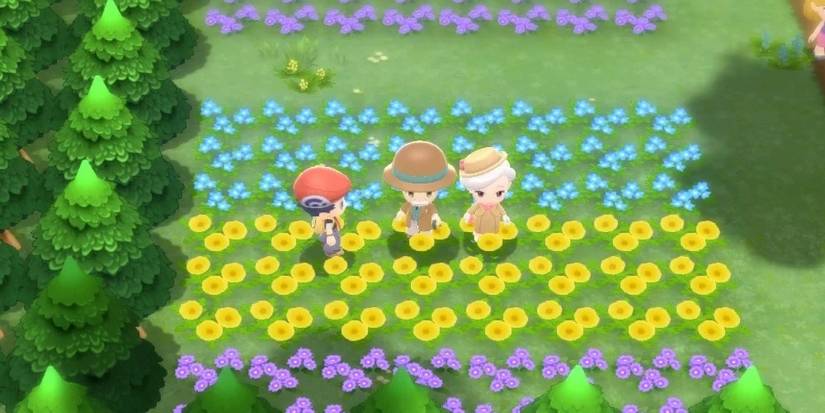 Pokemon Brilliant Diamond Floaroma Town Old Couple Standing In A Flowerbed 