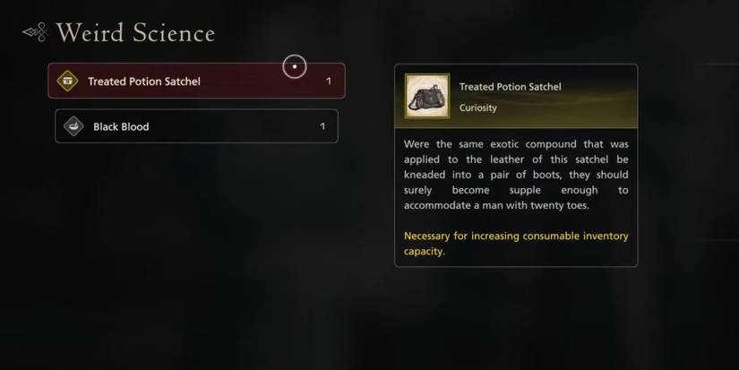The Treated Potion Satchel in Final Fantasy 16