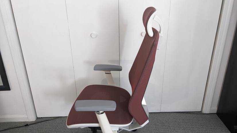 FlexiSpot Ergonomic Chair Pro Headrest